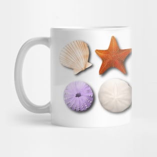 Scallop, Starfish, Sea Urchin, Sand Dollar Mug